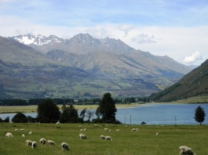 ???????????????????????????????