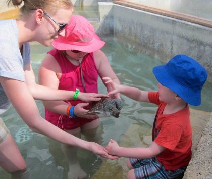 12592505_10153357291897373_8609084856671376686_n